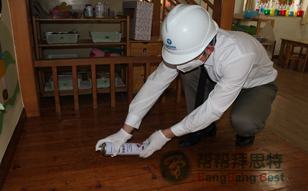 灭白蚁用什么药效果好_效果灭药白蚁好用不_灭白蚁的药水对人体有害吗