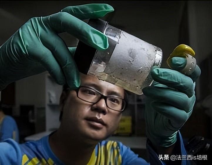 消灭蚊子会破坏生态吗_国家为什么不消灭蚊子_蚊子灭绝了世界会怎样知乎