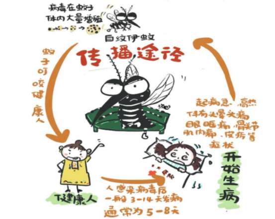 灭蚊子用什么杀虫剂好_灭蚊子用什么好_最有效的灭蚊子神器