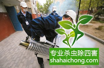 灭蟑螂除虫公司_灭蟑螂专业消杀公司_蟑螂消杀服务公司