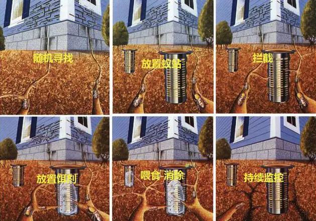 灭白蚁喷粉器_灭白蚁喷枪_白蚁喷雾器