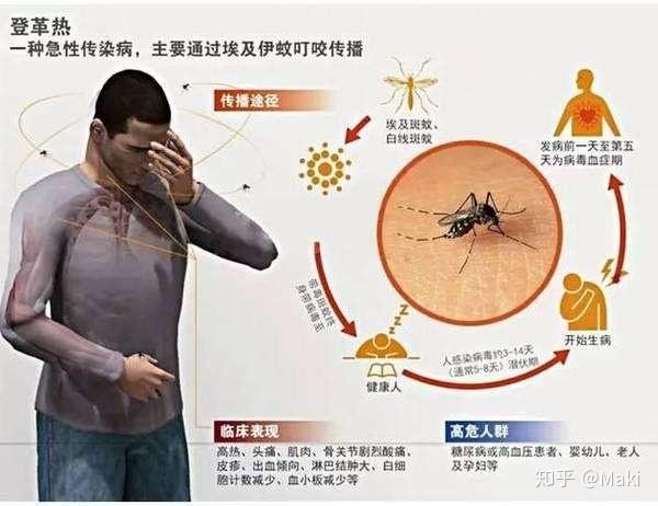 灭蚊好方法_灭蚊子最简单的方法_简单的灭蚊方法