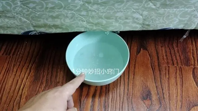 如何灭蚊子最快最有效_有效的灭蚊_灭蚊子最有效的产品