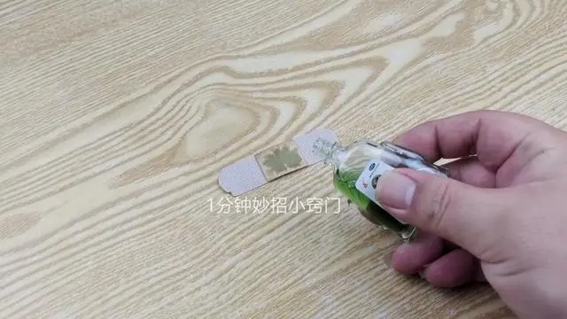 如何灭蚊子最快最有效_灭蚊子最有效的产品_有效的灭蚊