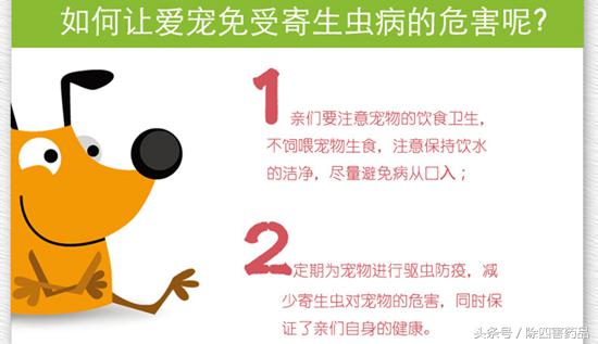 灭跳蚤专用药_用什么灭跳蚤最有效_灭跳蚤特效药
