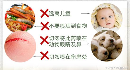 用什么灭跳蚤最有效_灭跳蚤特效药_灭跳蚤专用药
