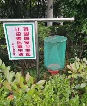 杀苍蝇用什么药最有效_杀苍蝇药水_苍蝇药都可以杀什么虫子