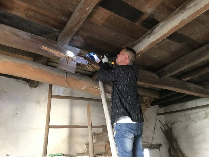 白蚁灭了还会反复吗_灭白蚁后多久可住人_白蚁灭绝会怎么样