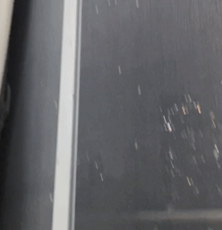 灭白蚁后多久可住人_白蚁灭绝会怎么样_白蚁灭了还会反复吗
