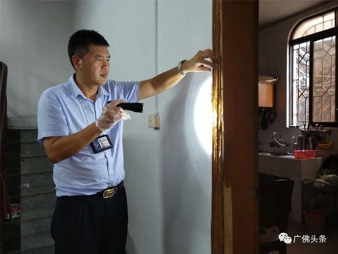 白蚁灭绝会怎么样_灭白蚁后多久可住人_白蚁灭了还会反复吗