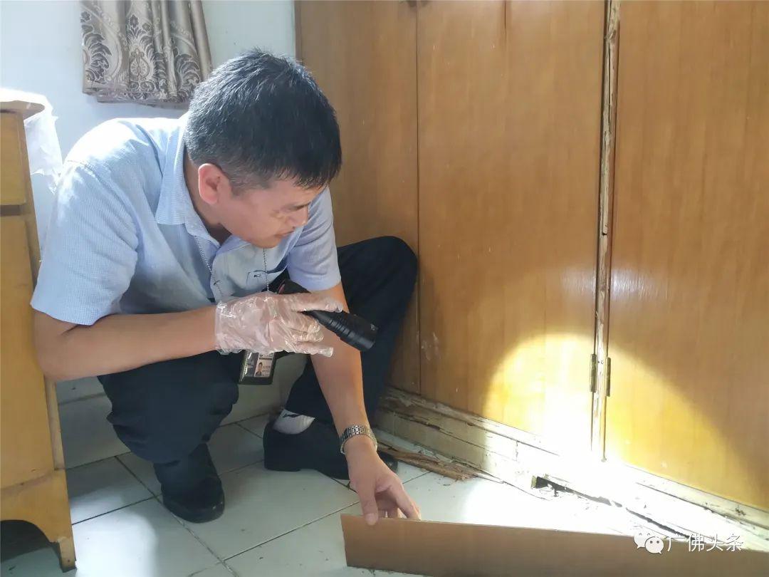 白蚁灭绝会怎么样_白蚁灭了还会反复吗_灭白蚁后多久可住人