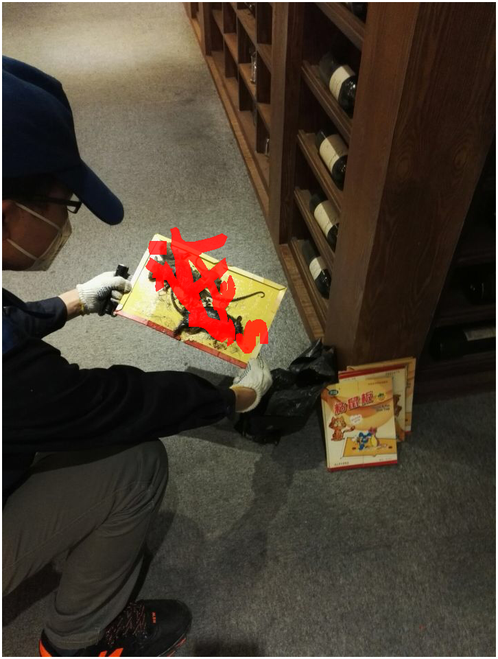 家庭灭鼠的方法_实用的家庭灭鼠奇招_家庭灭鼠最简单方法