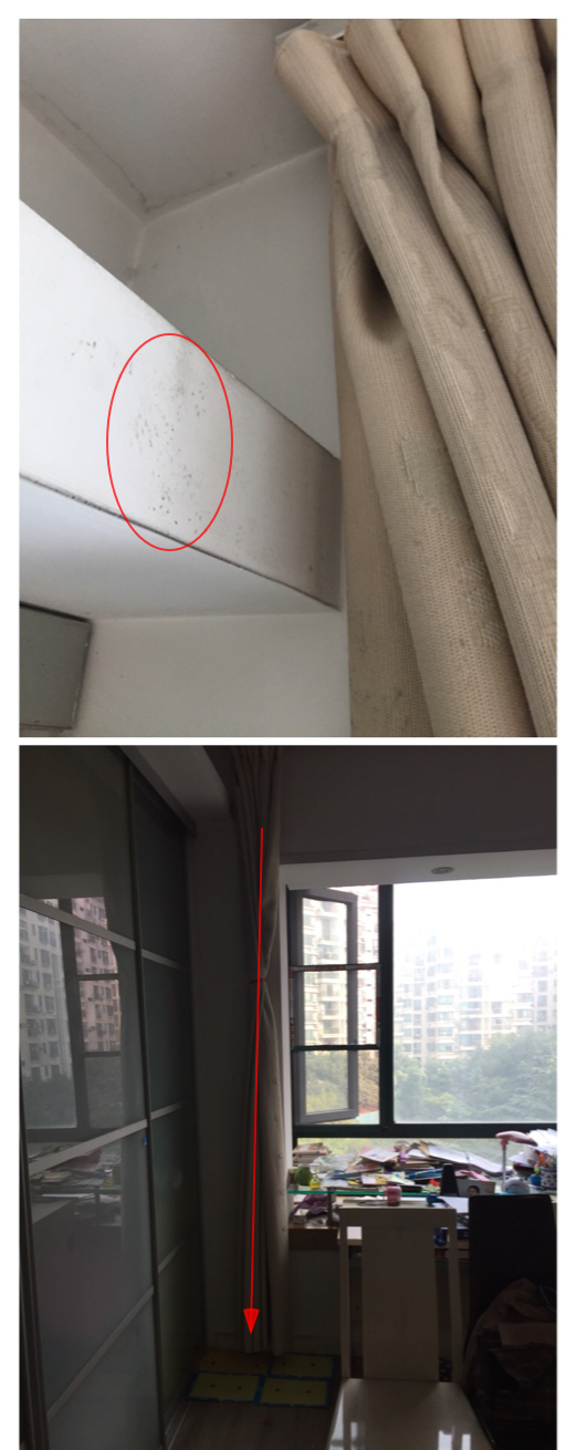 家庭灭鼠最简单方法_家庭灭鼠的方法_实用的家庭灭鼠奇招
