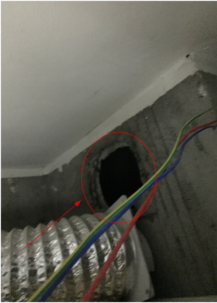 实用的家庭灭鼠奇招_家庭灭鼠最简单方法_家庭灭鼠的方法