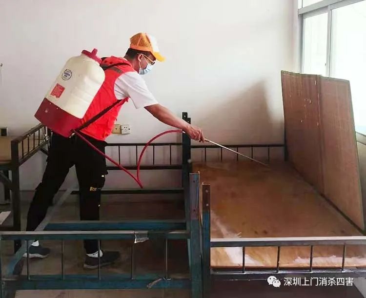 专业上门灭臭虫_灭臭虫上门服务_上门杀臭虫多少钱