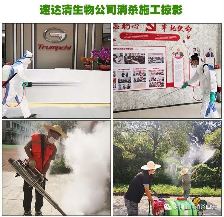 灭臭虫上门服务_专业上门灭臭虫_上门杀臭虫多少钱