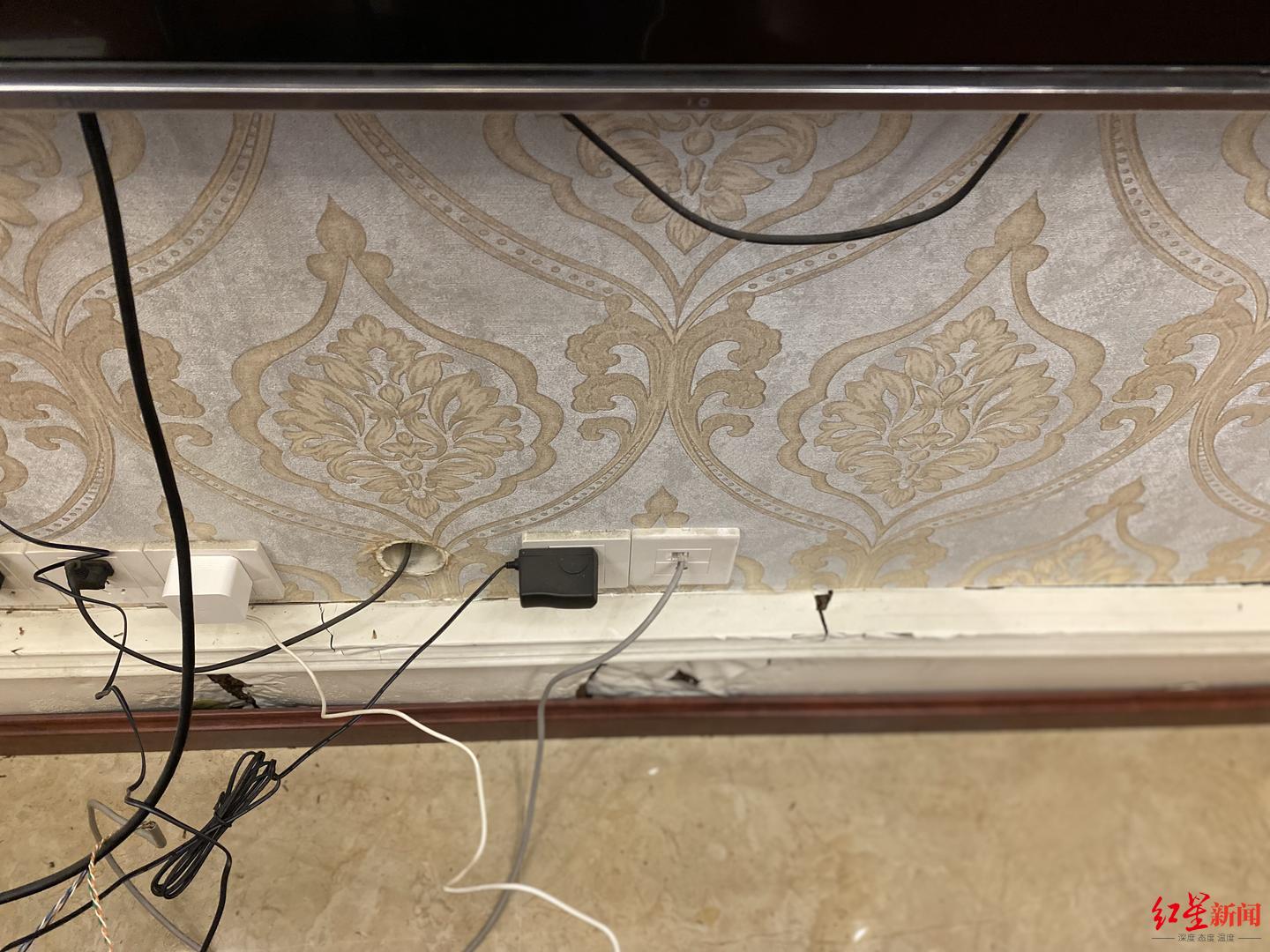 灭白蚁后多久可住人_白蚁灭完后怎么处理_白蚁灭了还会反复吗