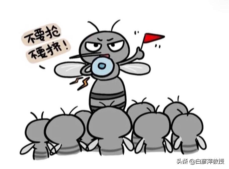 灭跳蚤公司哪家好_灭跳蚤批发_灭跳蚤杀跳蚤服务公司