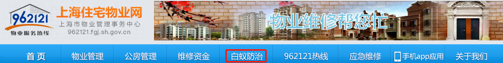 灭白蚁公司_灭白蚁公司多少钱一次_灭白蚁公司白蚁防治公司