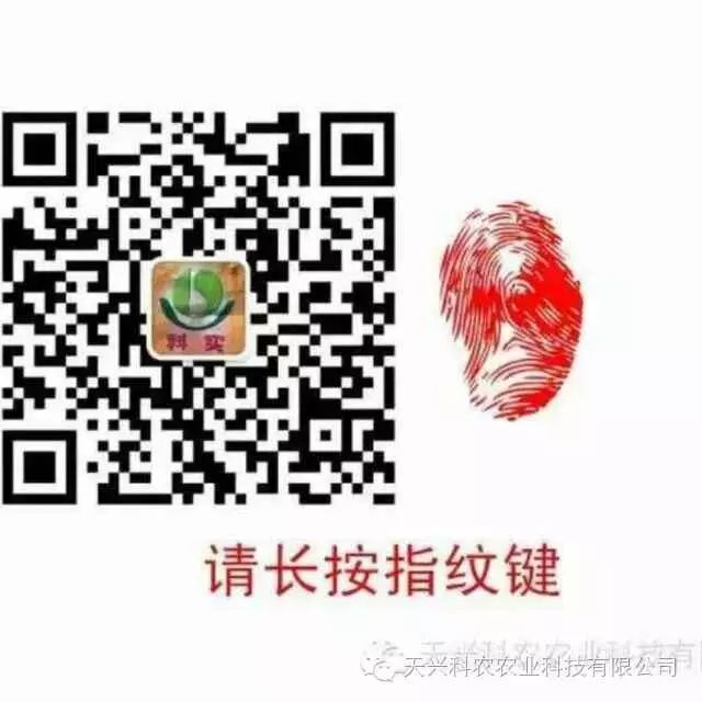 灭白蚁有前景吗_前景灭白蚁有什么方法_灭白蚁一般多少钱