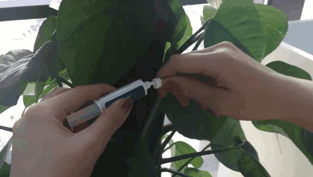 灭蟑螂好用的药牌子_蟑螂药哪个品牌杀灭效果好_灭蟑螂最有效的药品牌
