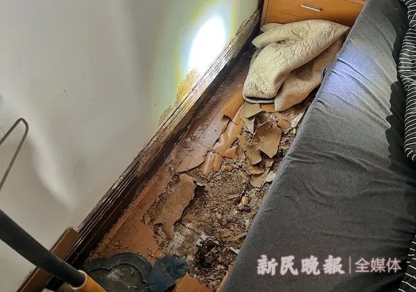 灭白蚁有前景吗_前景灭白蚁有哪些方法_灭白蚁一般多少钱