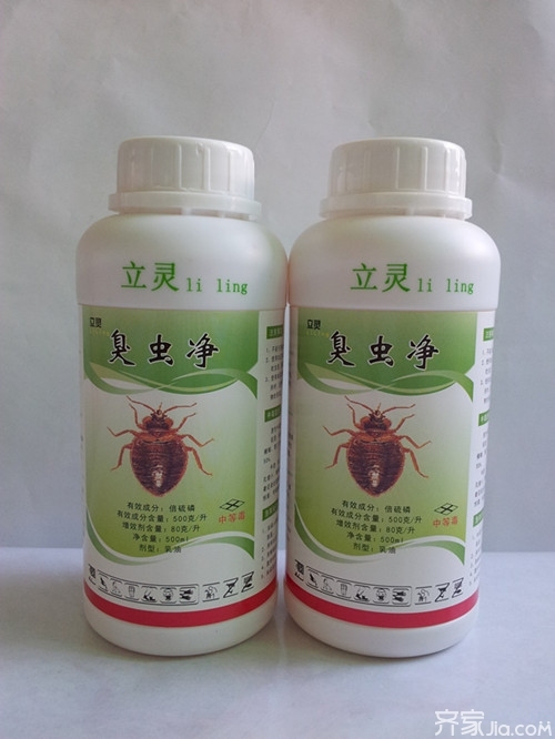 如何消灭臭虫_消灭臭虫用什么药最好_消灭臭虫