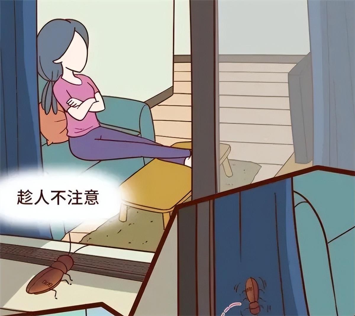蟑螂用什么灭最好_蟑螂灭蟑螂方法_灭蟑螂最安全有效的方法
