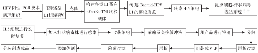 老鼠怎么灭知乎_灭老鼠秘方_灭老鼠最有效的13个方法推荐
