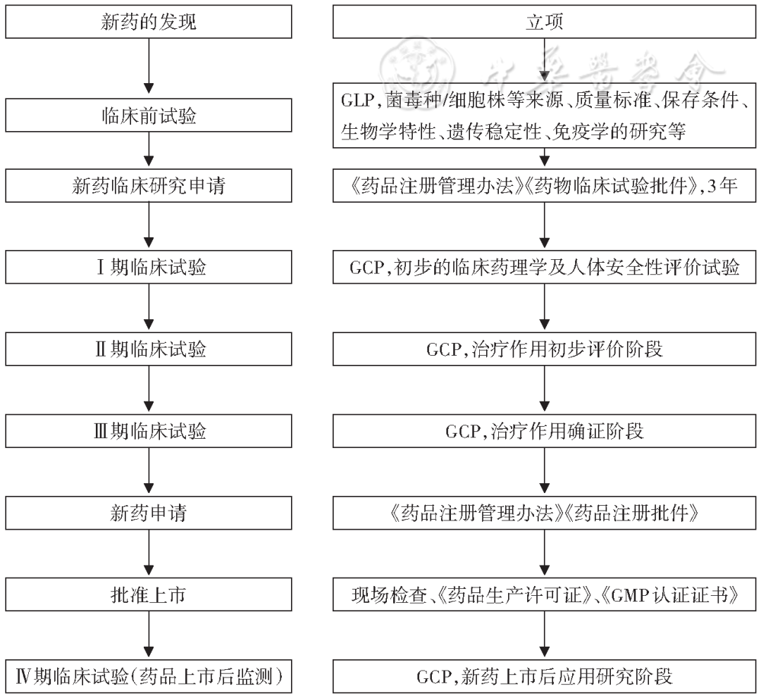 老鼠怎么灭知乎_灭老鼠最有效的13个方法推荐_灭老鼠秘方