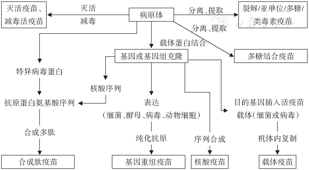 老鼠怎么灭知乎_灭老鼠秘方_灭老鼠最有效的13个方法推荐