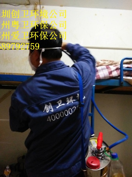 专业灭臭虫_灭臭虫服务怎么样_灭臭虫专业公司
