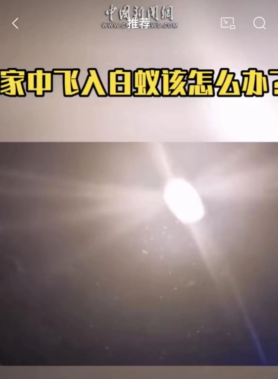 上门灭白蚂蚁_上门灭白蚁一般多少钱_上门灭钱白蚁一般要多久