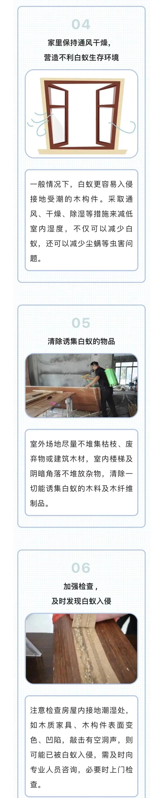 上门灭钱白蚁一般要多久_上门灭白蚁一般多少钱_上门灭白蚂蚁