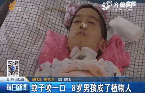 灭蚊子神器有用吗_灭蚊神器多少钱一个_灭蚊子神器第一名