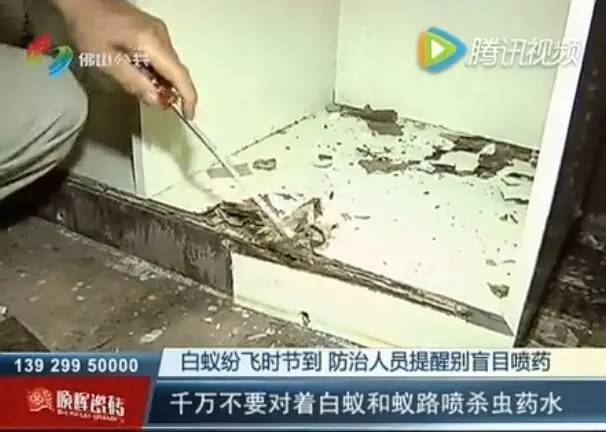 特效灭药白蚁有用吗_灭杀白蚁药_灭白蚁的特效药