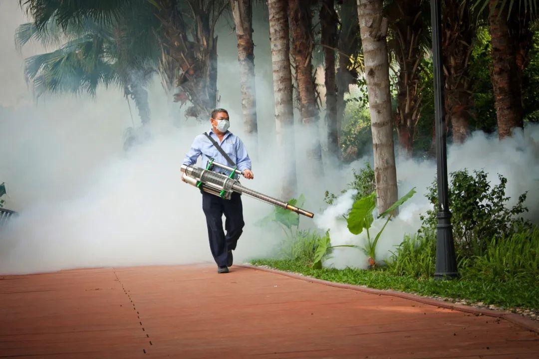 灭蚊子神器第一名_灭蚊神器怎么做_灭蚊神器使用方法