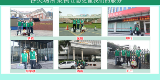 上门灭白蚁价格,白蚁