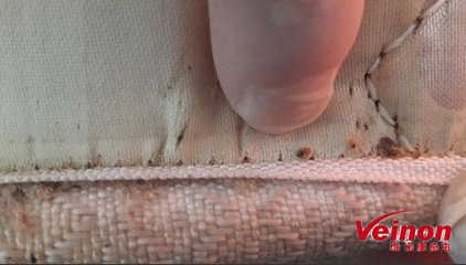 专业灭臭虫_灭臭虫专业公司_灭臭虫公司多少钱