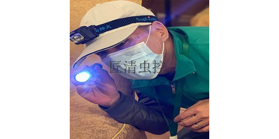 佛山专业除跳蚤哪家公司比较好,跳蚤
