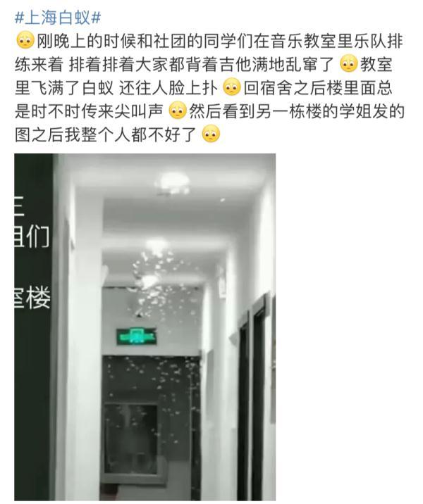 上海灭白蚁怎么收费价格_上海灭白蚁_上海灭白蚁热线