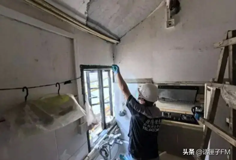 上海灭白蚁上门公司_上海灭白蚁_上海灭白蚁公司哪家好