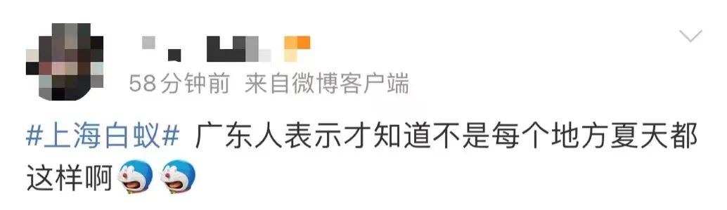 上海灭白蚁_上海灭白蚁上门公司_上海灭白蚁热线