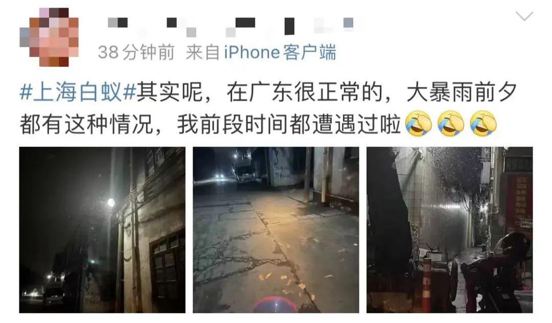 上海灭白蚁上门公司_上海灭白蚁_上海灭白蚁热线