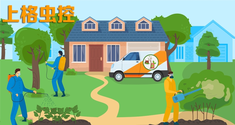 灭白蚁_灭白蚁要钱吗_灭白蚁要多少钱