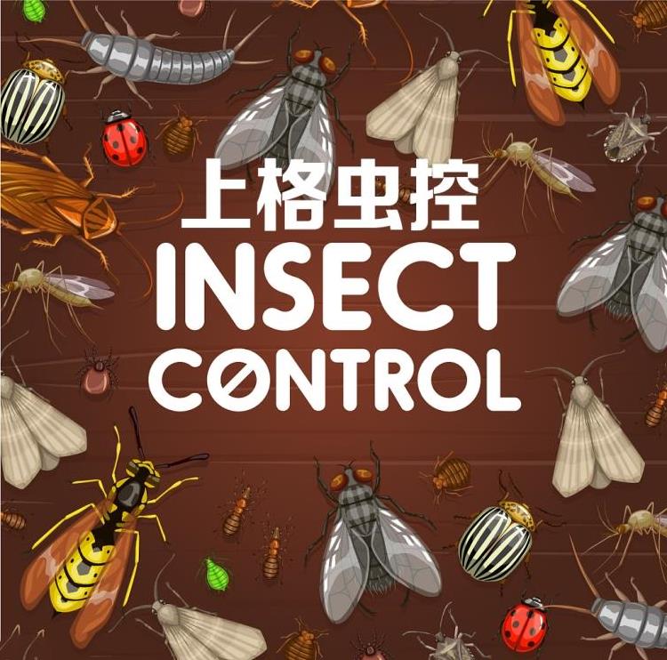 灭白蚁要钱吗_灭白蚁_灭白蚁要多少钱