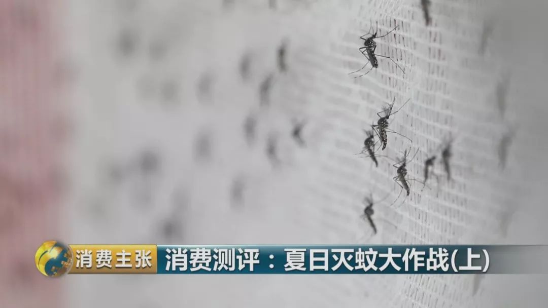 灭蚊灯哪个牌子好用有效_灭蚊灯牌子_哪个牌子的灭蚊灯效果好