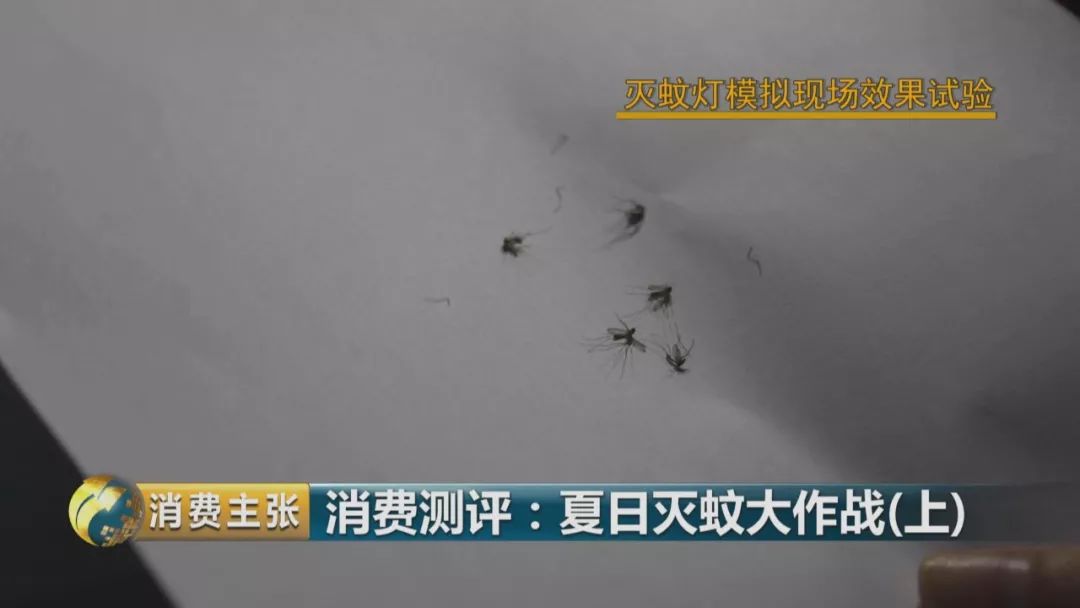 哪个牌子的灭蚊灯效果好_灭蚊灯哪个牌子好用有效_灭蚊灯牌子