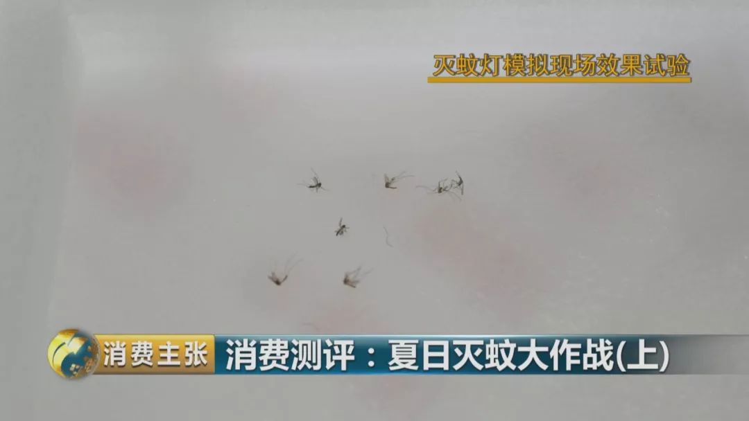灭蚊灯牌子_灭蚊灯哪个牌子好用有效_哪个牌子的灭蚊灯效果好