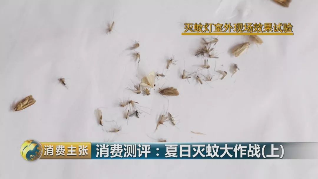 哪个牌子的灭蚊灯效果好_灭蚊灯牌子_灭蚊灯哪个牌子好用有效